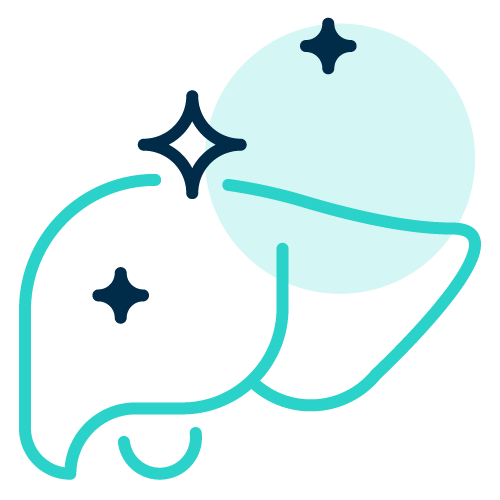 Gentle Liver Detox Therapies