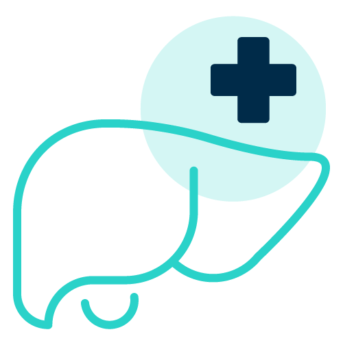 Liver Wellness Workshops