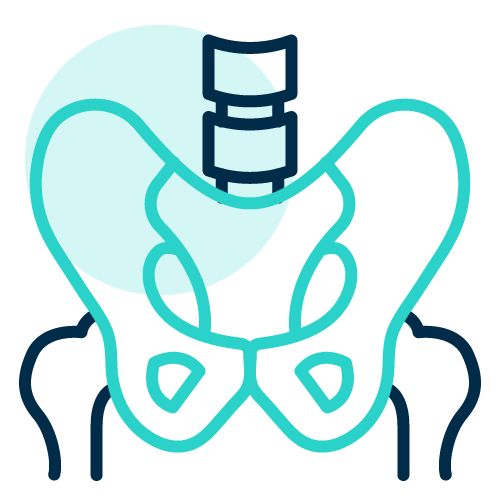 Pelvic Floor Rehabilitation