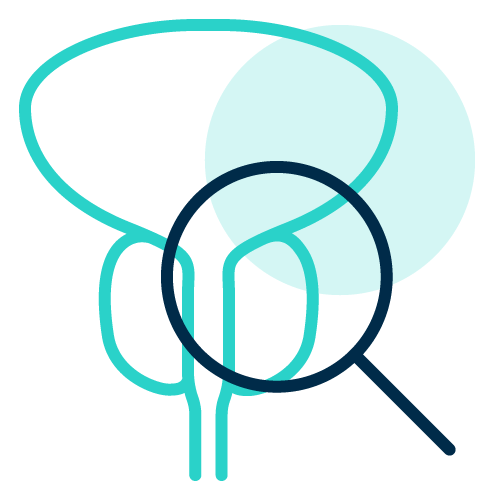 Prostate Health Screenings