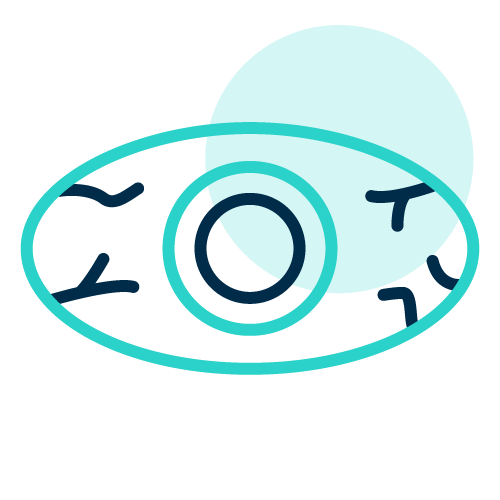 Digital Eye Strain Management