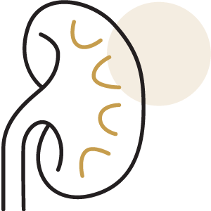Kidney Disease Prevention
